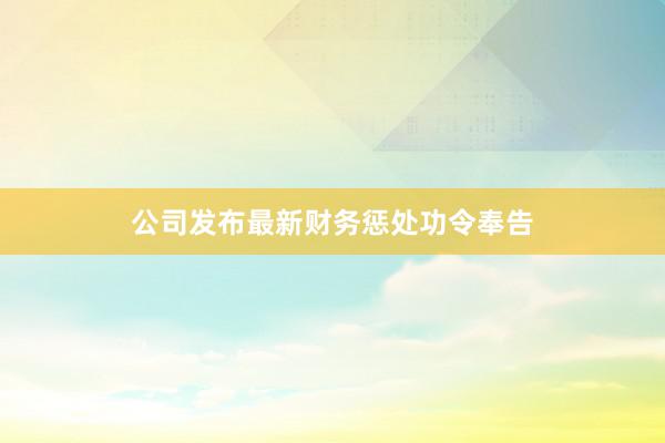 公司发布最新财务惩处功令奉告